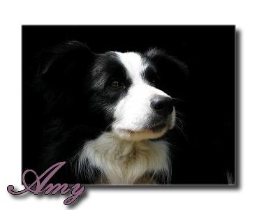 Amy