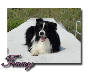 Tenny