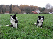 Brendy Ganden Monge & Bessy Ganden Monge